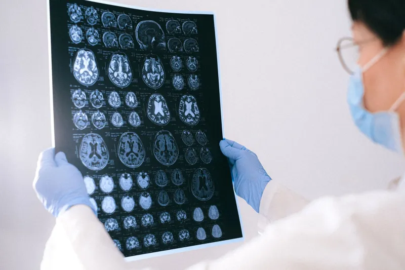 The Biology of Belief: How Expectation Rewires Neural Architecture